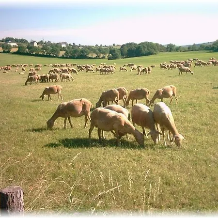 Au Calme Avec Privatif Gratuit Sud Aveyron Les Palmiers Des Causses 3* Saint-Rome-de-Tarn