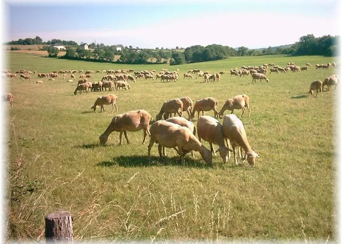 Au Calme Avec Privatif Gratuit Sud Aveyron Les Palmiers Des Causses 3* Saint-Rome-de-Tarn